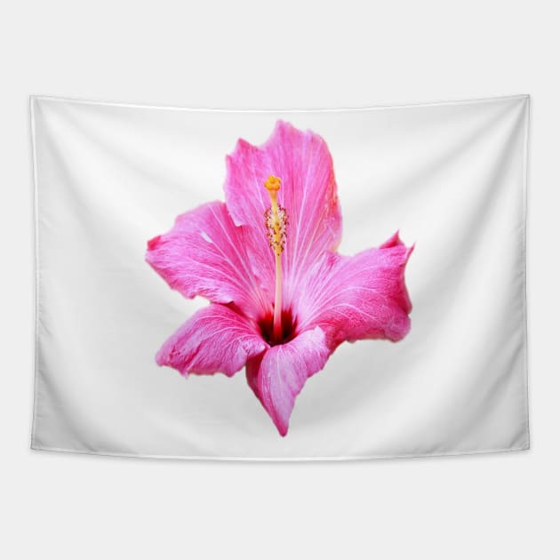 Hibiscus Tapestry by dodgerfl