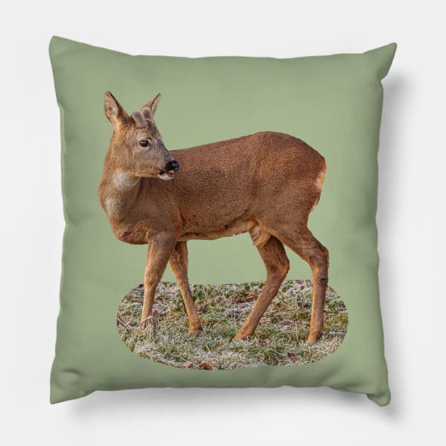 Roe Deer Pillow by dalyndigaital2@gmail.com