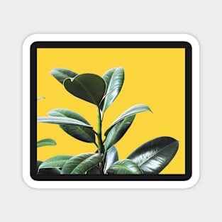 Graphic green botanicals, yellow background Magnet