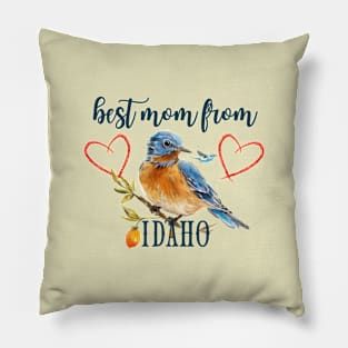 Best Mom From IDAHO, mothers day gift ideas, i love my mom Pillow