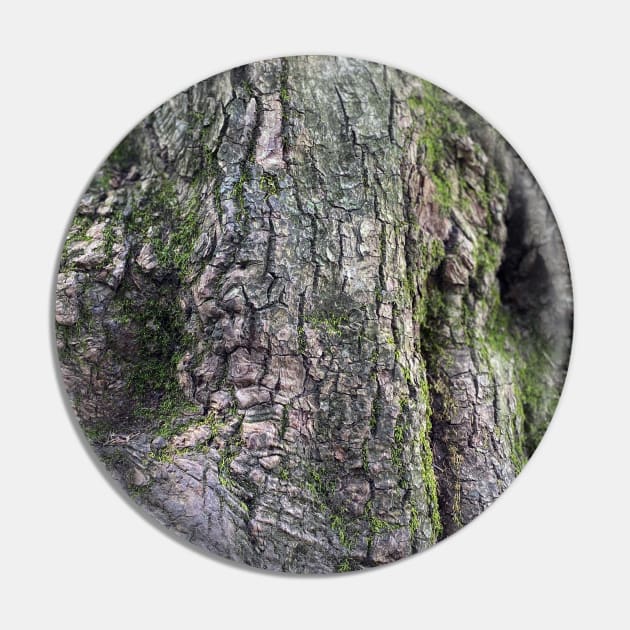 Mossy Bark Pin by Nicholas Lee