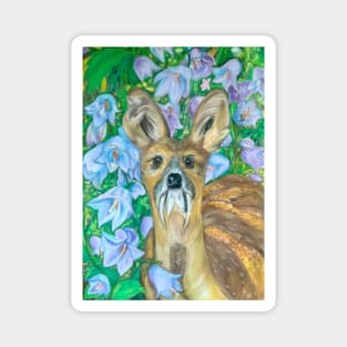 Musk Deer with Bluebells Magnet