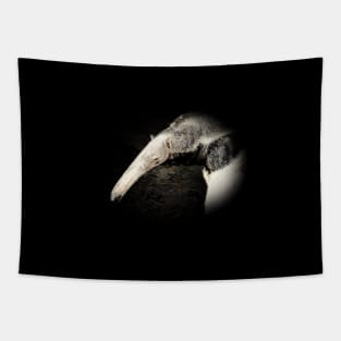 Giant anteater Tapestry