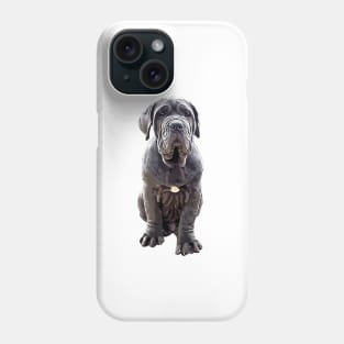 Neapolitan Mastiff - Stunning Dog! Phone Case