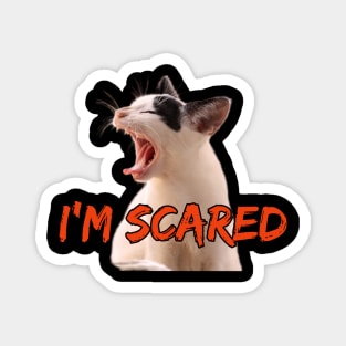 I'm scared kitty Magnet