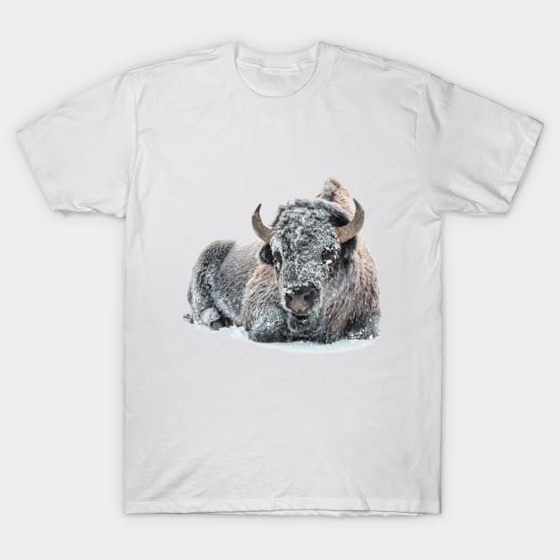 itemful Image: Bison in Snow T-Shirt
