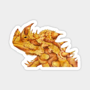 Thorny Devil Magnet