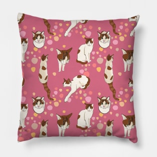 Soya the cat - All my Soyas (magenta) Pillow