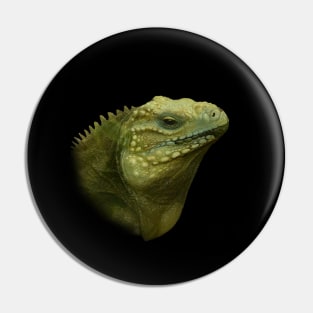 Iguana Pin