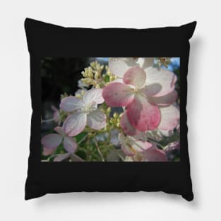 Pale Pink Pillow