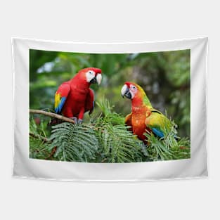 Scarlet Macaws - Costa Rica Tapestry