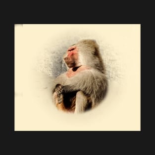 Baboon T-Shirt