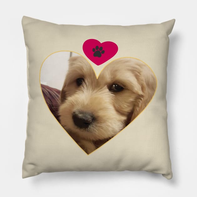 Labradoodle Pillow by care store