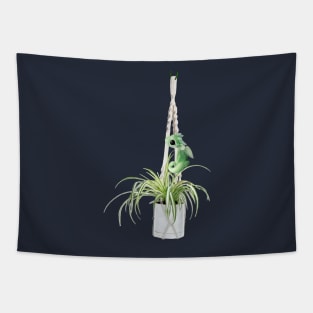 Spider Hanging Plant Dragon Baby Tapestry