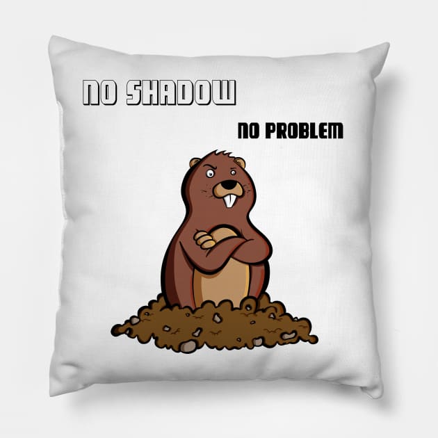 No Shadow, No Problem Pillow by Art by Nabes