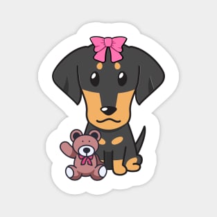 Cute dachshund holds a teddy bear Magnet