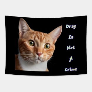 Crookie says... Drag is Not A Crime Pink Tapestry