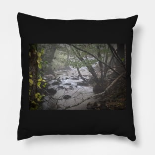 Foggy Creek Pillow