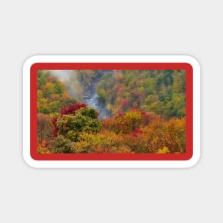 Colors of Autumn Magnet