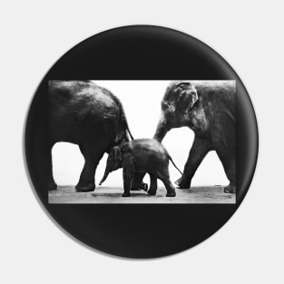 Baby Elephant and Parents Pin