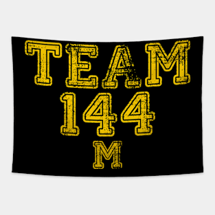 Michigan Team 144 Tapestry