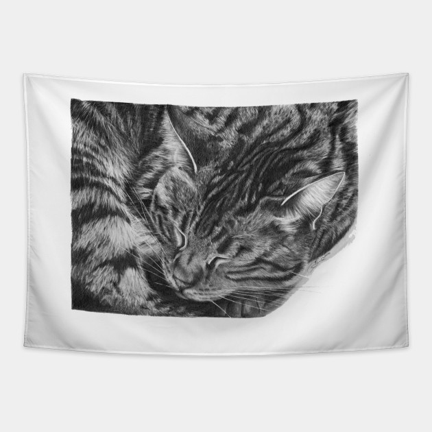 Tabby Cat Tabby Cat Pencil Drawing Tapestry Teepublic