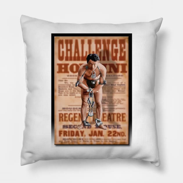 The Great Houdini Pillow by rgerhard