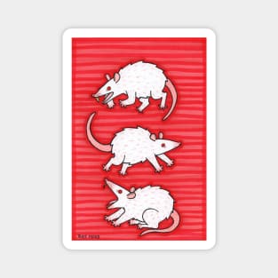 Rats Magnet