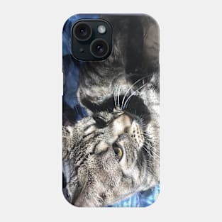 Serious Tabby Phone Case