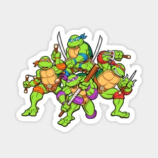 TMNT Magnet