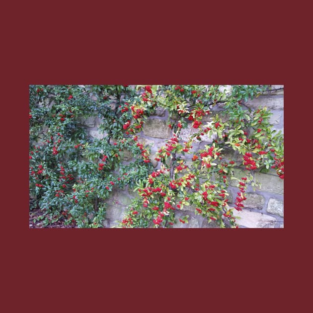 Paris Bois de Boulogne Red Berries by BlackBeret