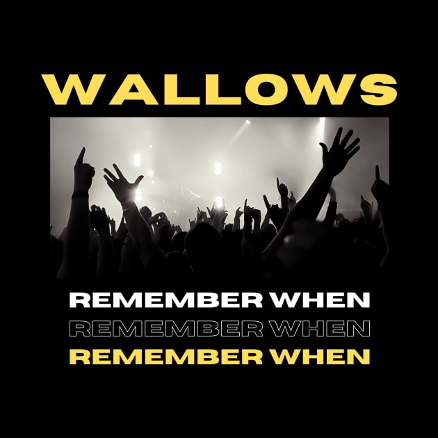 Wallows Music by Eighteen Plus