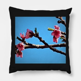 Peach Blossoms Pillow