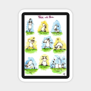 Yoga Positions Magnet