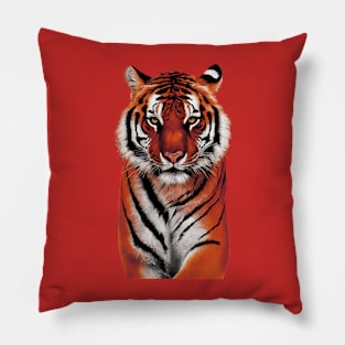 Tiger Pillow