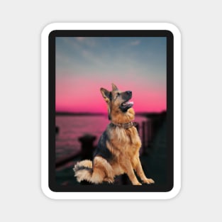 Dog,alsation,sunset Magnet