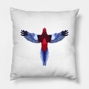 Crimson Rosella Pillow