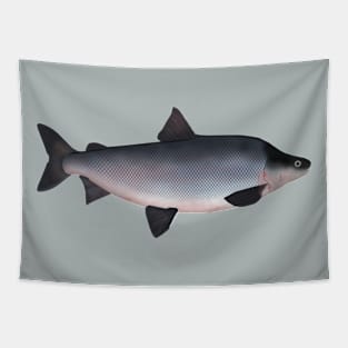 Humpback Whitefish Tapestry