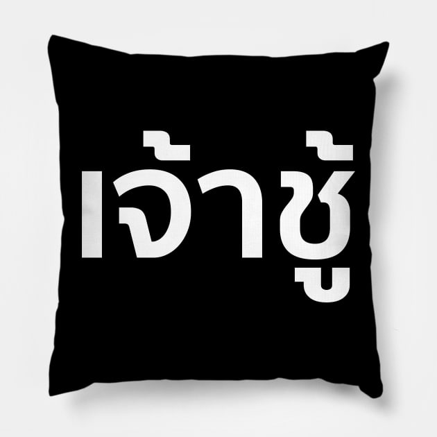 Playboy (เจ้าชู้) Pillow by n23tees