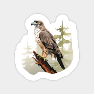 Hawk Hunter Magnet