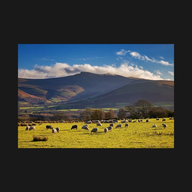 Pen y Fan and Corn Du, Brecon Beacons National Park by dasantillo