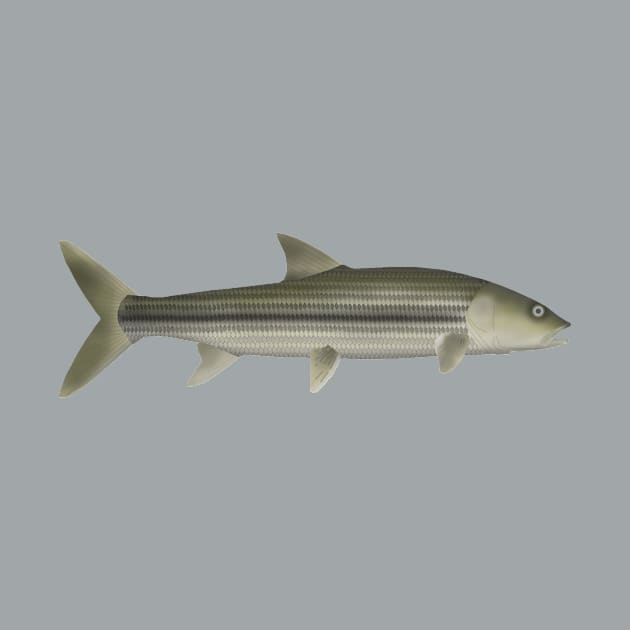 Striped Pikecarp by FishFolkArt