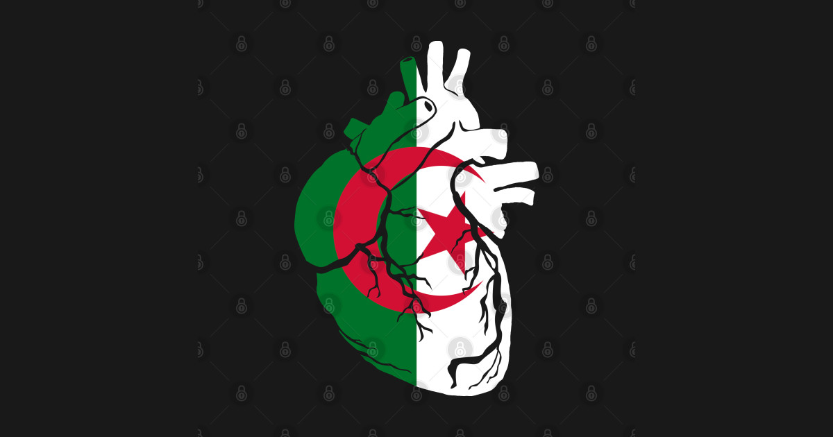 Anatomical heart design, Algeria flag - Algerian Flag - Sticker | TeePublic