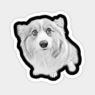 Pembroke Welsh Corgi Pencil Design Magnet