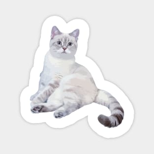 Funny cute cat white sitting Magnet