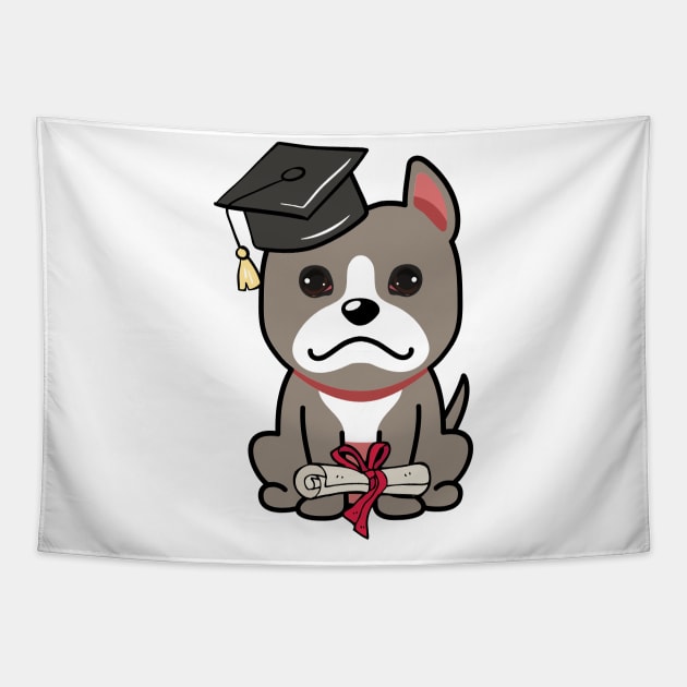 Cute grey dog is a graduate Tapestry by Pet Station