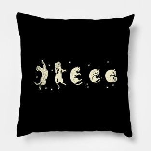 Phases of Cat Moon Pillow