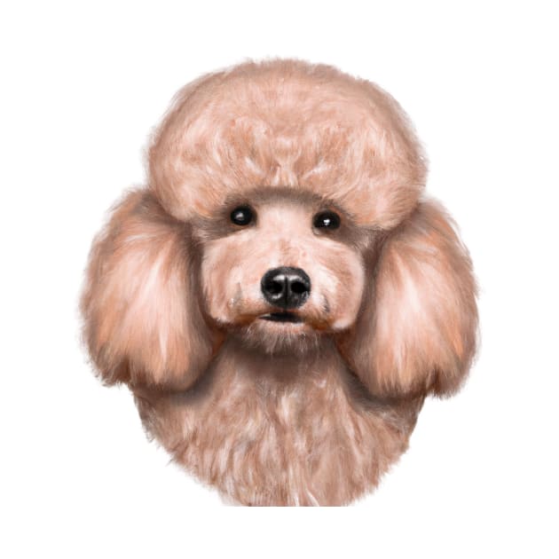 Cute Poodle Drawing by Play Zoo