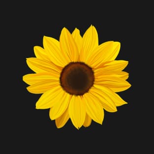 sunflower T-Shirt