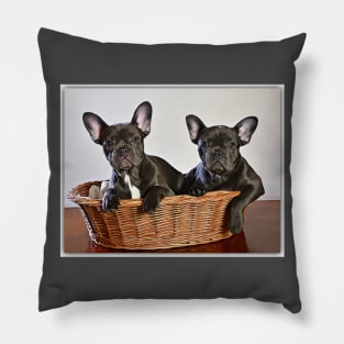 French Bulldogs In A Basket Pillow